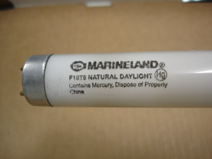 Marineland F18T8
Here's a Marineland F18T8 Natural Daylight fluorescent lamp.

Lamp shape: T8
Made in: China
Colour temp: 5000K
Base: Medium Bi-pin
Keywords: Lamps
