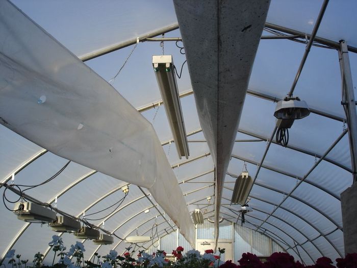 Greenhouse Lighting
Hey Niall, here is a pic taken Dec.04,2010 of the inside of one of my greenhouses with the best selection of lighting. On the left is four McGraw Edison Unidors and one GE M-250R2 that is actually a growlight,a couple 8ft fluorescents with reflectors, a 8ft high output strip and the PL Lighting 400W HPS glowlight fixtures.
Keywords: Misc_Fixtures