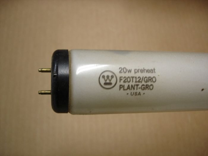 Westinghouse 20W Plant-Gro
Here is a Westinghouse 20W preheat Plant-Gro fluorescent lamp.


Made in: USA
Keywords: Lamps