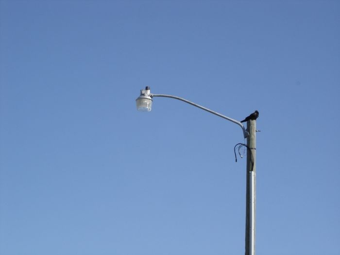GE 201-SA
I found a street in Fergus Falls, MN lit with GE 201 SA fixtures mounted on arms attached to wood poles with underground wiring instead of a typical metal light standard.
Keywords: American_Streetlights