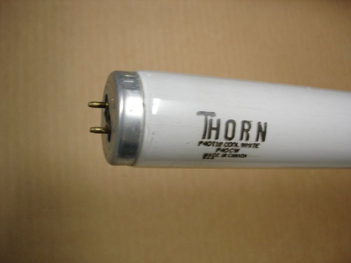 Thorn F40T12
Here is a Thorn 40W cool white fluorescent lamp.

Made in: Canada

Manufactured: Circa early 80's
Keywords: Lamps
