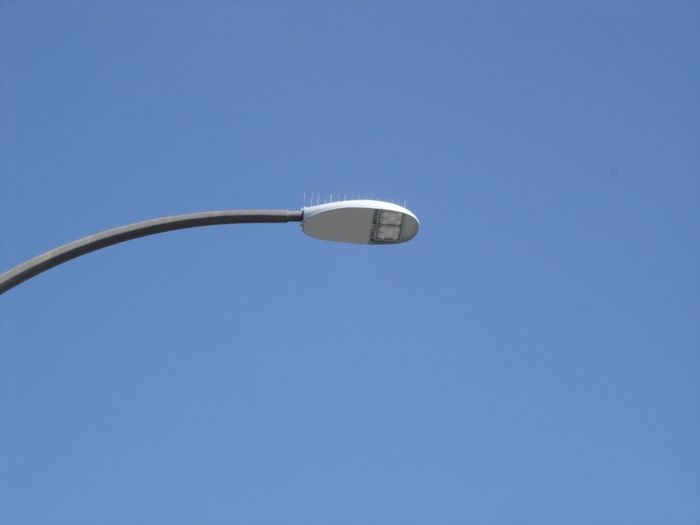 CREE XSP2
New CREE XSP2 LED streetlights installed in a parking lot with 'Gull Guards' .
Keywords: American_Streetlights