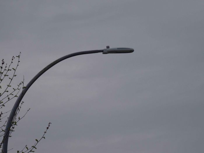 LED Roadway Lighting 133W
The LED streetlight disease has started here now,the city has installed a test plot of a variety of LED streetlights. This one is a LED Roadway Lighting NXT series luminaire. 

Made in: Canada

Manufactured: Circa 2017
Keywords: American_Streetlights