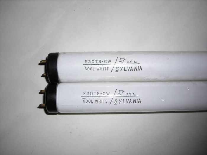 Sylvania F30T8 Cool White
Here's a couple of Sylvania F30T8s also from Restore. There were six of them left after I got these two. Does anyone know how old these might be? 
Keywords: Lamps
