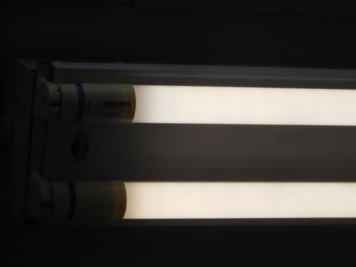 LED Tube Lights
From Brockton, MA
Keywords: Lamps