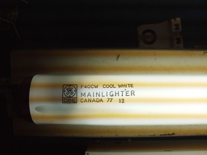 Canadian General Electric F40/CW Mainlighter.
Interesting tube from a fluorescent fixture that now lives in my basement.
Keywords: Lamps