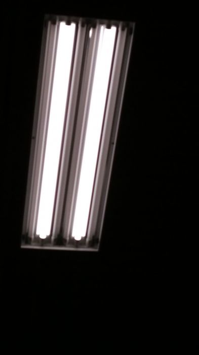 LED tubes are GARBAGE!!
Four of the six of these LED tubes in this high bay fixture are out, which killed the ballast. They are GARBGE!!!

This is in a At Home.
Keywords: Lit_Lighting