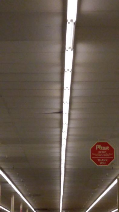 F32 T8 linear fixtures
These fixtures have Phillips Alto lamps and some are EOL and have vacuum loss. This is at a Hobby Lobby.
Keywords: Lit_Lighting