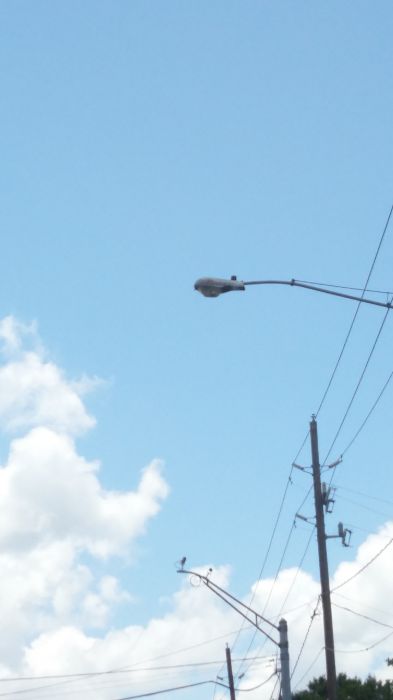Yet another AEL 115 250w HPS streetlight
In downtown Tomball, TX.
Keywords: American_Streetlights