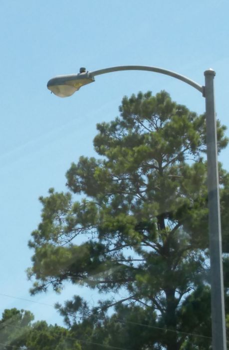 AEL 115 100w HPS streetlight
Near by the Cy-Fair Vet Hospital.
Keywords: American_Streetlights