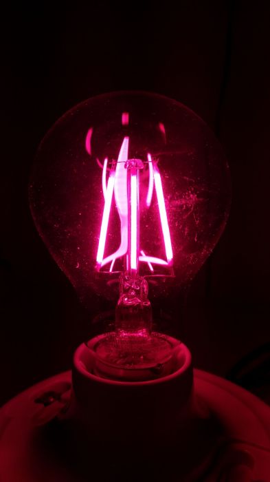 Feit Electric 4.5w red LED filament bulb
On camera it looks pinkish, but off camera its more of a deep red.
Keywords: Lit_Lighting
