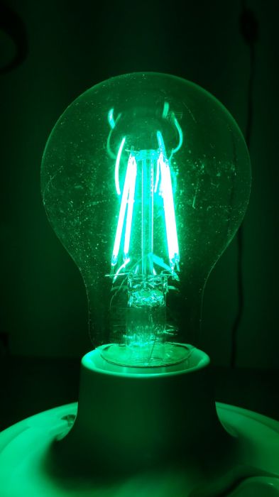 Feit Electric 4.5w green LED filament bulb
On camera, its more of a clear mercury vapor lamp. But off camera, its a deep green.
Keywords: Lit_Lighting