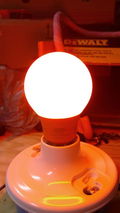 Feit Electric 3w orange LED lamp (lit)
There it is being lit.
Keywords: Lit_Lighting