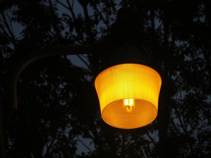 Nema Light
From Middleboro, MA
Keywords: Lamps