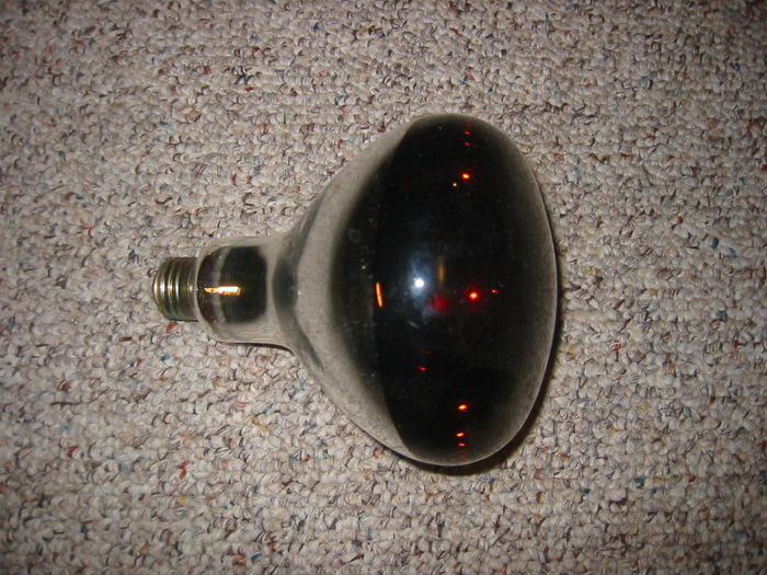 250 watt heat lamp
POOR QUALITY!!!!!!!!!
Keywords: Lamps