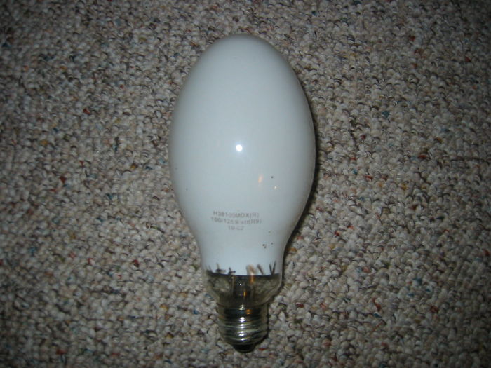 regent 100-125 watt mv lamp
Came with a fixture of mine.
Keywords: Lamps