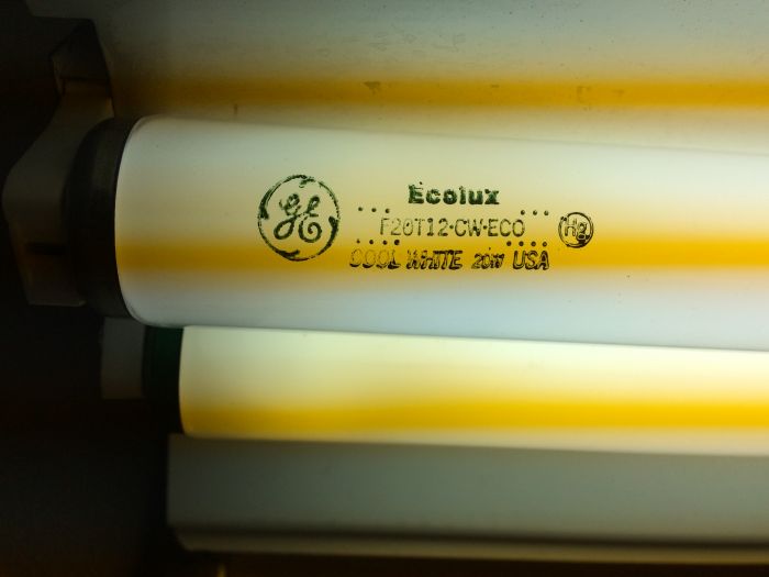 GE Ecolux F20T12/CW
Just a cheap modern tube from Fred Meyer, but at least it's not the latest etch style!

They're also classic halophosphate cool white to this day, 1200 lumens, take that, Chroma 50!  That said some SP41 would be nice.  
Keywords: Lit_Lighting