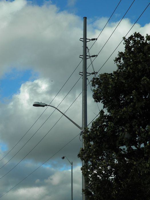 Double the Fibreglass!
Want more fibreglass? How about a fibreglass pole with a fibreglass streetlight. xP These fibreglass poles aren't very common here, most utility poles here are either concrete or wood. 
Keywords: American_Streetlights