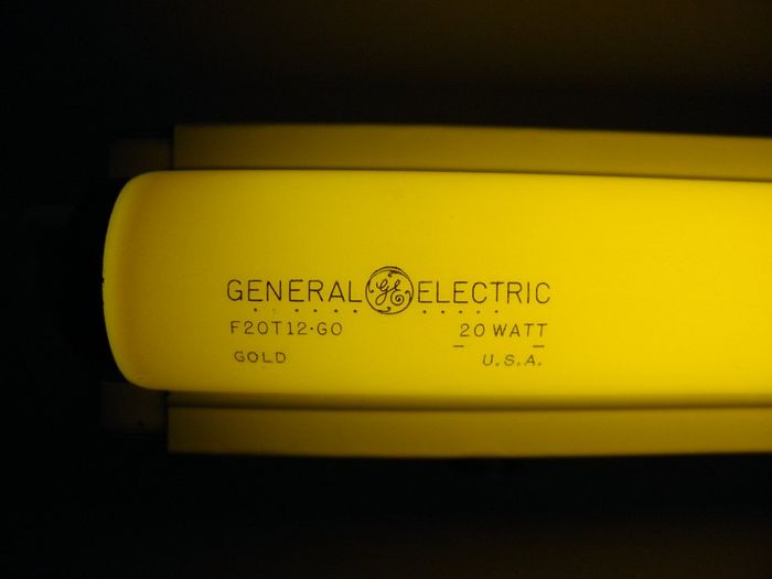 GE F20T12/GO Gold
Here's a GE F20 gold lamp that I picked up at a hardware store near Clarence, NY. 
Keywords: Lamps