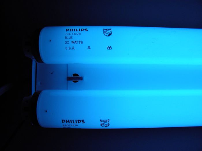 Philips F20T12/B Blue
Here's a pair of Philips F20T12 blue lamps that I found at the local Restore, they're pre Alto too and have a big drop of mercury inside. The date code on both lamps is a bit smudged though. 
Keywords: Lamps
