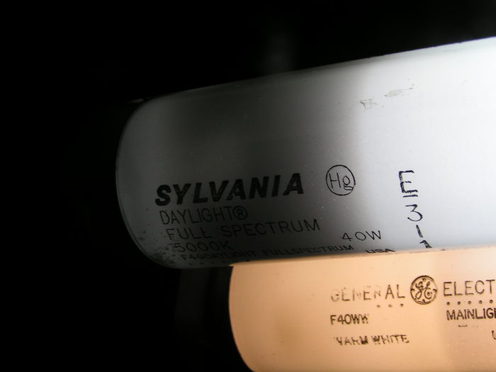 Sylvania Daylight Full Spectrum
Scored this less-than-a-year-old lamp today...was running cold cathode, hence the blackening.  Still works properly, though, for now anyway...
Keywords: Lamps