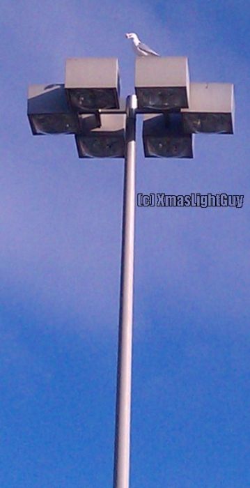 StreetLight #307 - 6  On A Pole
Parking-lot lighting at a target store. Most of the poles had 4 fixtures, but there were a couple with 6.

Also note the seagull...even though I'm many, many, miles from the sea .LOL.


Location:
Target #0147
Keywords: American_Streetlights