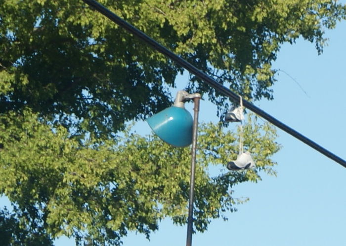 Blue Gull Scooper Fixture
these are usually green....but a blue one?..joy!
Keywords: American_Streetlights