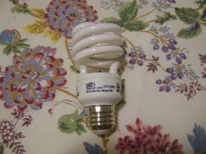 DSS (Diverse Supply Solutions) 13 Watt CFL
These were in my bathroom light. Its color temperature it puts out is warm white. Now one thing about these CFLs, the make a humming noise from the ballast once you turn it on. But when it gets brighter, its gets quieter. 
Keywords: Lamps