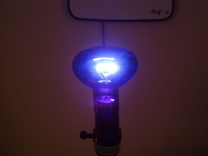 Late 90s maybe? Incandescent blacklight flood bulb (lit)
Showing you this bulb being lit.
Keywords: Lit_Lighting