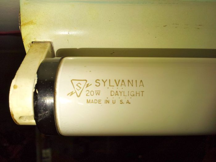 Sylvania F20T12
Keywords: Lamps