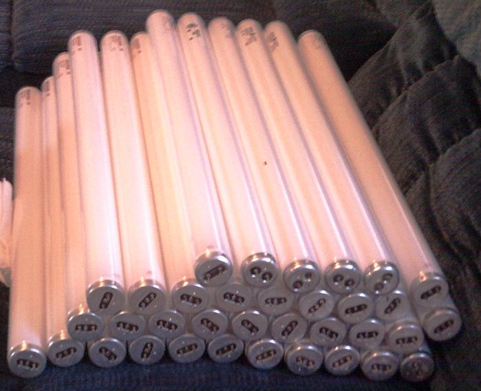 Pile-O-Tubes!
Yep! 35 F20 tubes! 30 are Sylvania GTE F20T12/WW, four are GE 3500K lamps (with varying etches) and the last is a later Sylvania GTE 3500K lamp. all are NOS.
Keywords: Lamps
