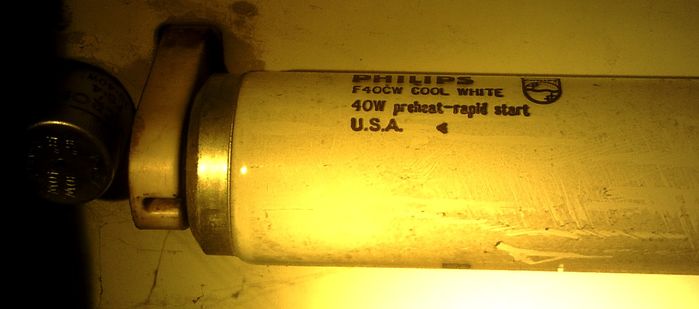 Philips F40 Tube
probably still works. No noticable blackening.
Keywords: Lamps
