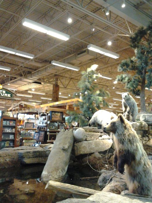 Ontario 2014 Vacation: Bass Pro Shop Lighting
Cool 8ft F32T8 fixtures. Maybe they used to be F96T12 but Vaughan Mills seemed rather new. I think these had two lamps per 4ft section (4 lamps total)
Keywords: Indoor_Fixtures