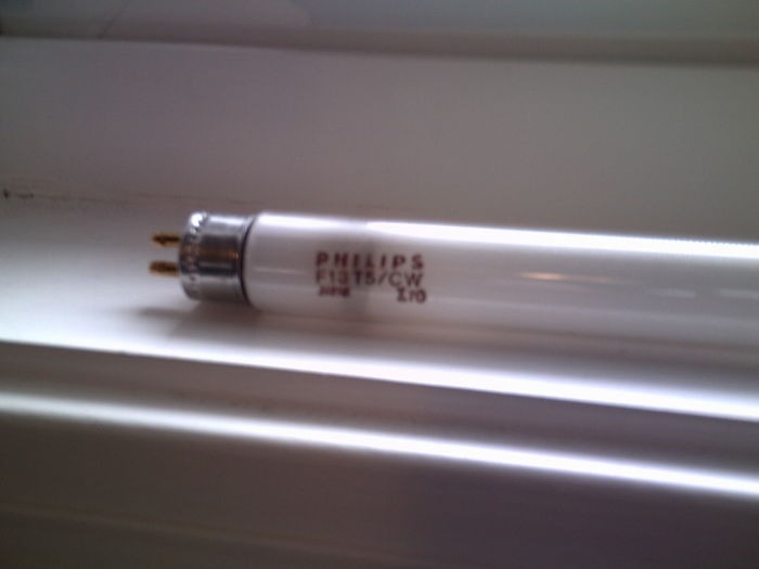Philips F13T5/CW lamp (times 4)
i have four of these, all identical. Can someone date this? The bottom line of text is "JAPAN    I70", as i understand my picture is burry (sorry guys :-( )
Keywords: Lamps
