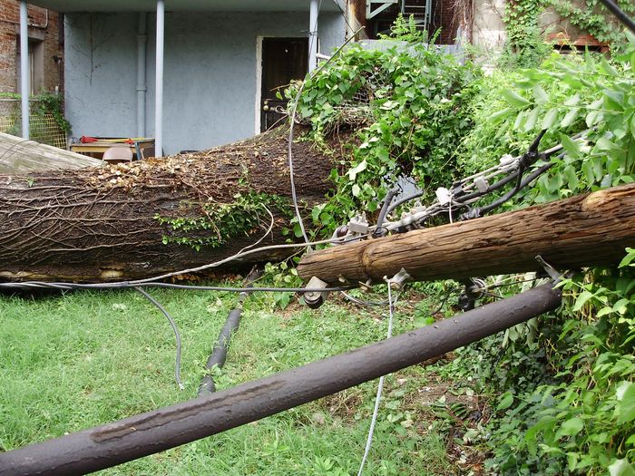 Hurricane Irene
Just another reason to better maintain your trees!!!!
Keywords: Miscellaneous