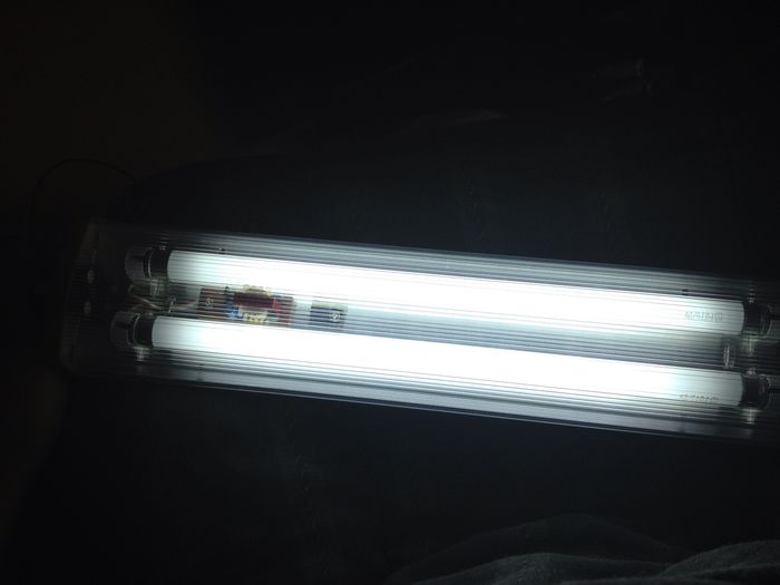 Lit up fluorescent lamps.
Weird to see the ballast exposed like that.
Keywords: Indoor_Fixtures