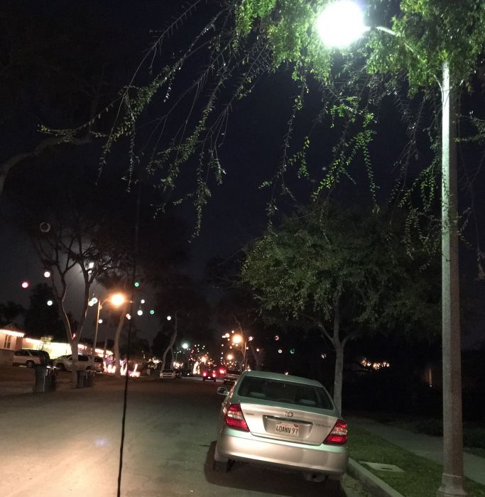 100w MV street light.
GE M250R1. And this street has the cool sparkleballs in the trees used as Christmas lights! See the dim balls? this pic was taken when they were shutting off, as they twinkle.
Keywords: American_Streetlights