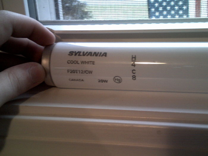 RESTORE FIND: NOS Sylvania F20T12/CW Lamp!
Only $0.25! I couldn't pass it up! Appears to be unused too! Can someone date this? Thanks. 8-)
Keywords: Lamps