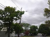Filename=051217_003.jpg
Filesize=467KiB
Dimensions=2048x1536
Date added=May 13, 2017 051217_003.jpg