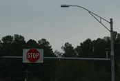 Filename=1595.JPG
Filesize=220KiB
Dimensions=2136x1451
Date added=Nov 25, 2011 1595.JPG