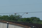 Filename=5711_016.JPG
Filesize=105KiB
Dimensions=999x677
Date added=May 11, 2011 5711_016.JPG