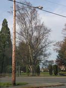 Filename=Buckley_OV-25+.jpg
Filesize=252KiB
Dimensions=768x1024
Date added=Aug 24, 2013 Buckley_OV-25+.jpg