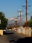 Filename=CAM00124.jpg
Filesize=429KiB
Dimensions=1920x2560
Date added=Jan 04, 2013 CAM00124.jpg