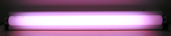 Filename=F20_Sears_Plant_Light+.JPG
Filesize=21KB
Dimensions=1023x215
Date added=23.May 2013 F20_Sears_Plant_Light+.JPG