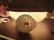 Filename=HPIM0299.JPG
Filesize=927KiB
Dimensions=2592x1944
Date added=May 23, 2011 HPIM0299.JPG
