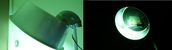 Filename=Homebrew_MV_Flood.jpg
Filesize=99KiB
Dimensions=1870x544
Date added=Jun 21, 2011 Homebrew_MV_Flood.jpg