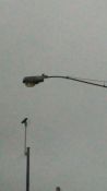 Filename=IMAG0693.jpg
Filesize=153KiB
Dimensions=1386x2464
Date added=Apr 08, 2018 IMAG0693.jpg