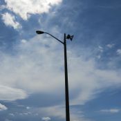Filename=IMG_1357~0.JPG
Filesize=479KiB
Dimensions=2992x2992
Date added=Sep 03, 2018 IMG_1357~0.JPG