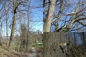 Filename=NP4064920_M.JPG
Filesize=681KiB
Dimensions=1800x1200
Date added=Apr 07, 2012 NP4064920_M.JPG