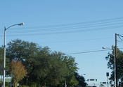 Filename=SONYSLR_1337.JPG
Filesize=546KiB
Dimensions=2798x2001
Date added=Sep 09, 2011 SONYSLR_1337.JPG